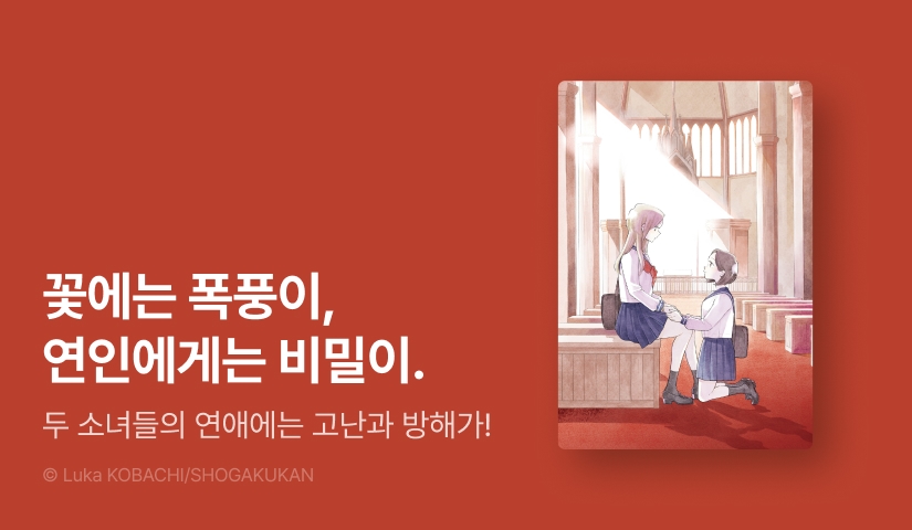 [20%▼] <꽃에게 폭풍> 후속권 UP!