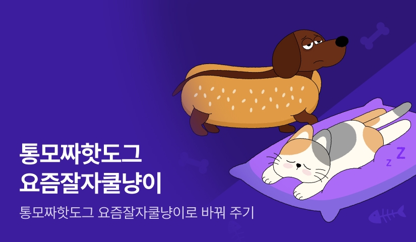 [추첨 포인트] 통모짜핫도그 요즘잘자쿨냥이