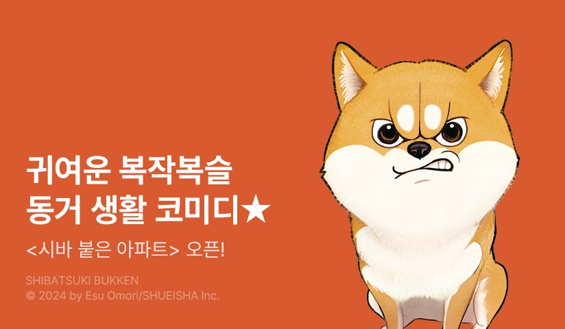 [10%▼] <시바 붙은 아파트> 오픈 기념!