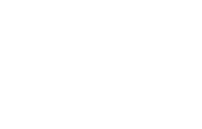 미드나잇 스완