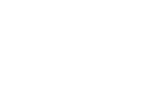 고독한 용의자
