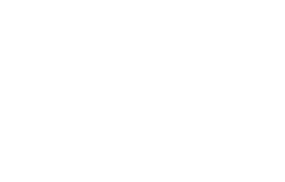 장미와 나이프