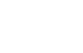 인플루언스