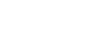여름은 고작 계절