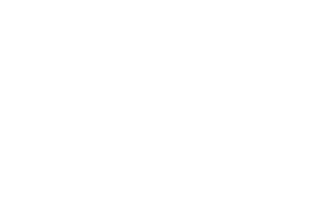 가진 집