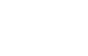 고독한 용의자