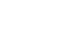 낮말은 쥐가 하면