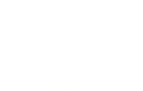 나를 사랑하지 않아도 1화