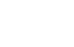 여름은 고작 계절