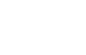 어느 날, 개미가 말을 듣기 시작했다