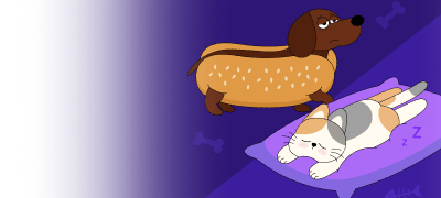 통모짜핫도그
요즘잘자쿨냥이 이벤트 이미지