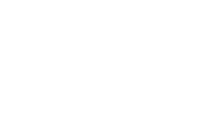 스탠딩 1열 목격자