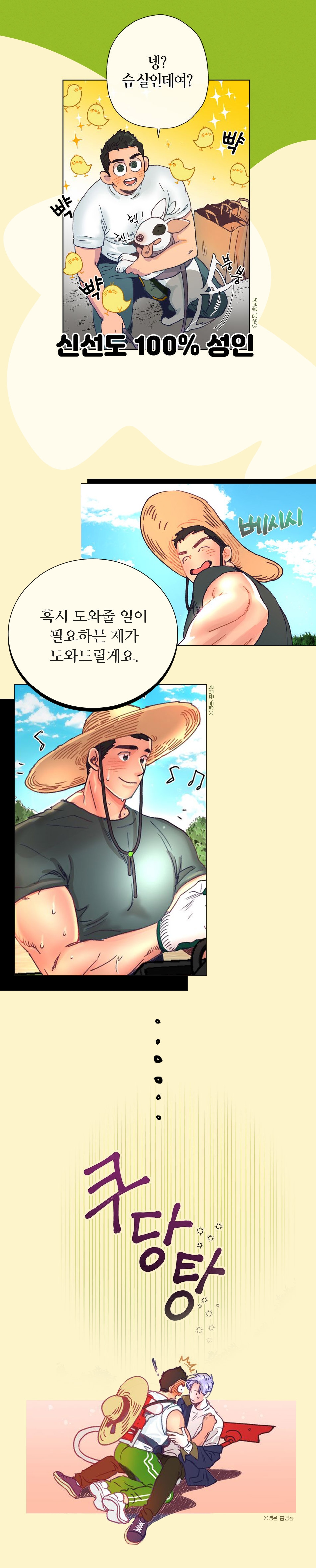메인 이미지