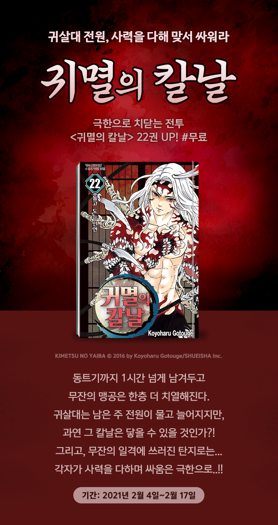 메인 이미지
