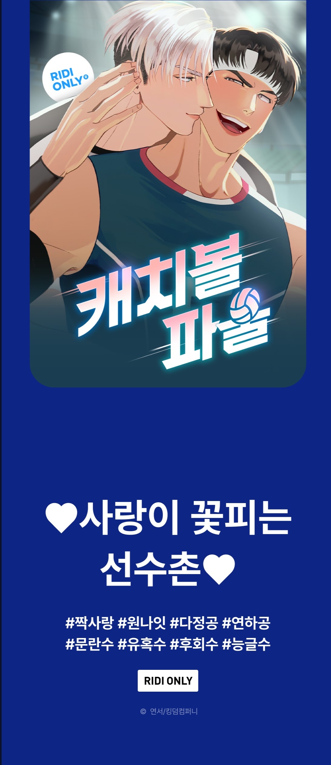 메인 이미지