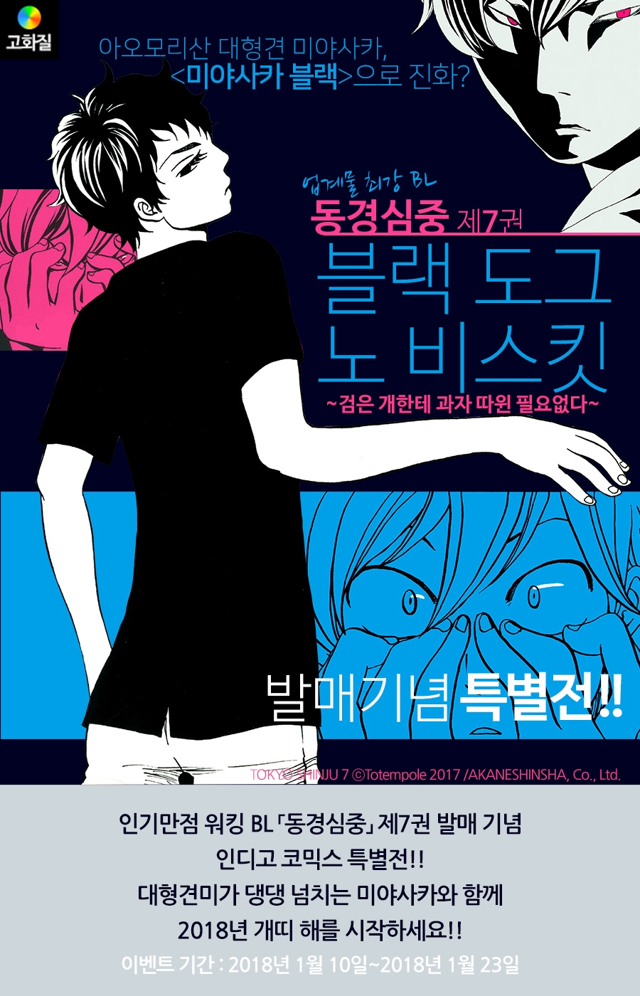 메인 이미지