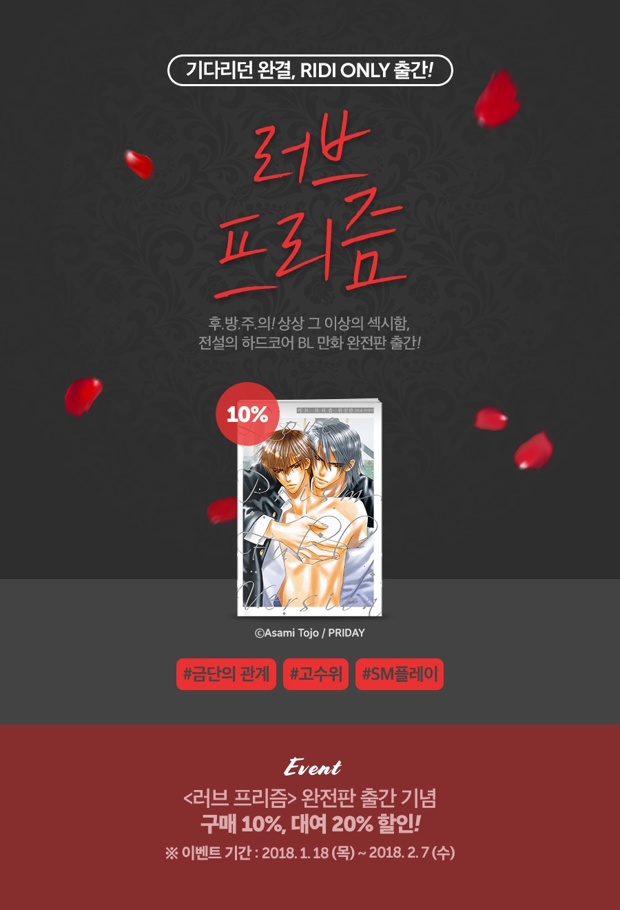 메인 이미지