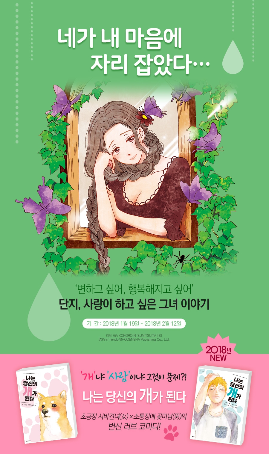 메인 이미지