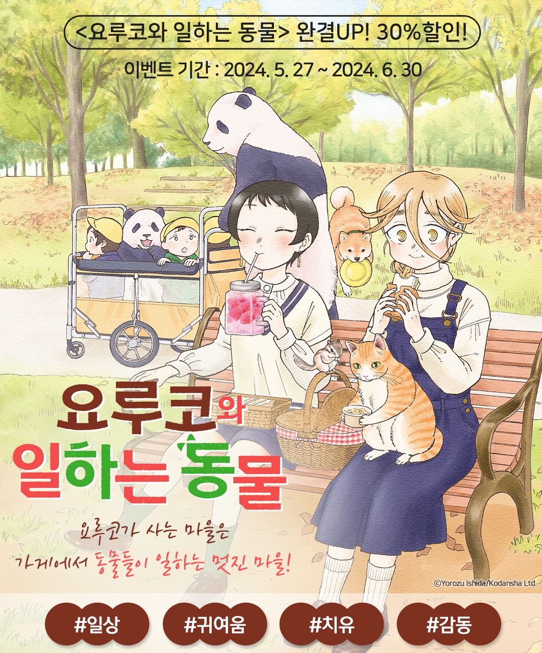 메인 이미지