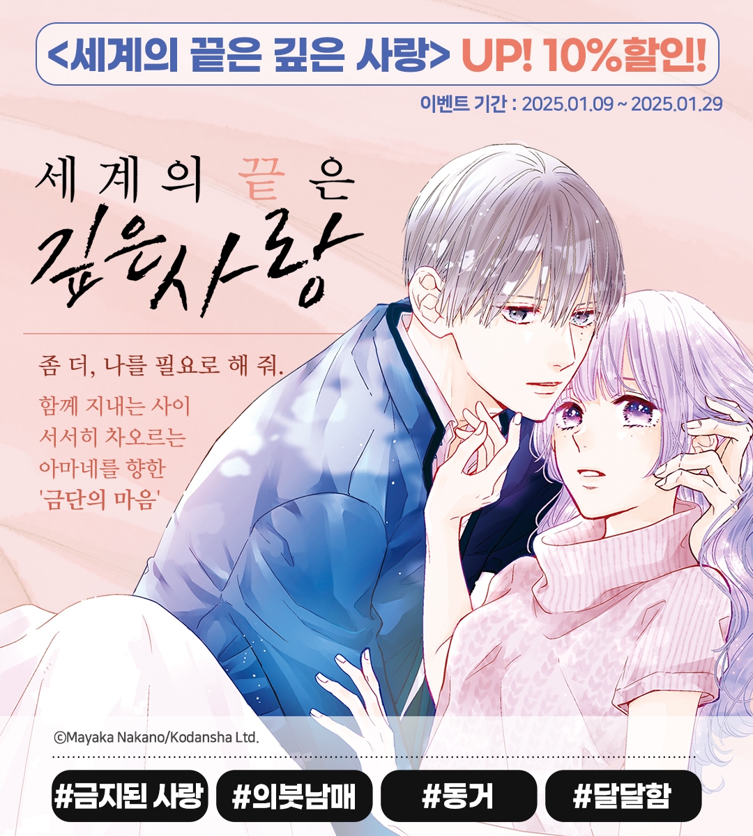 메인 이미지