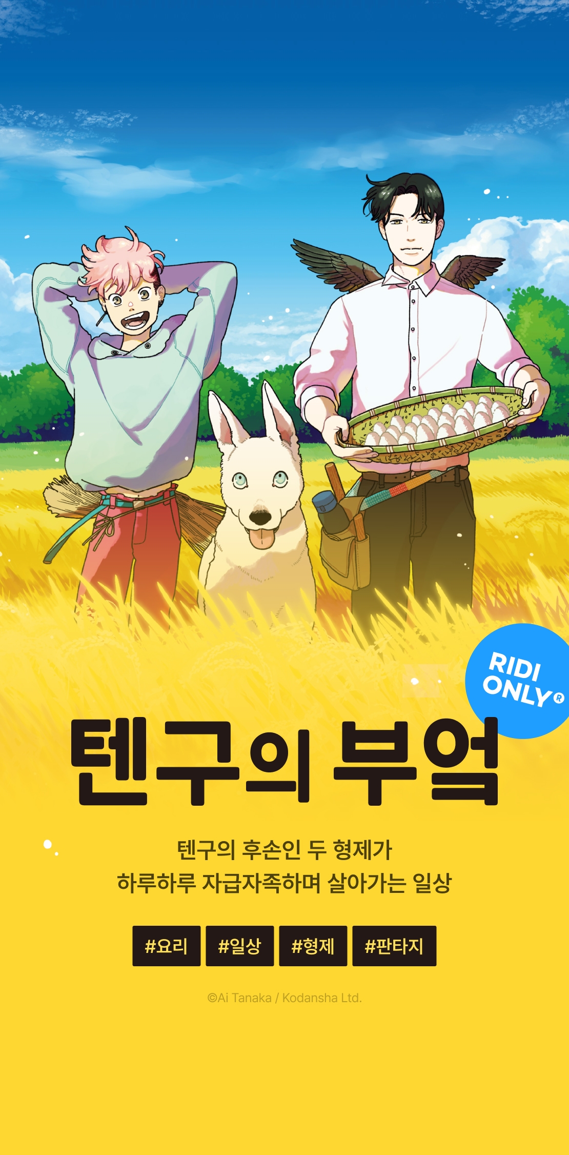 메인 이미지