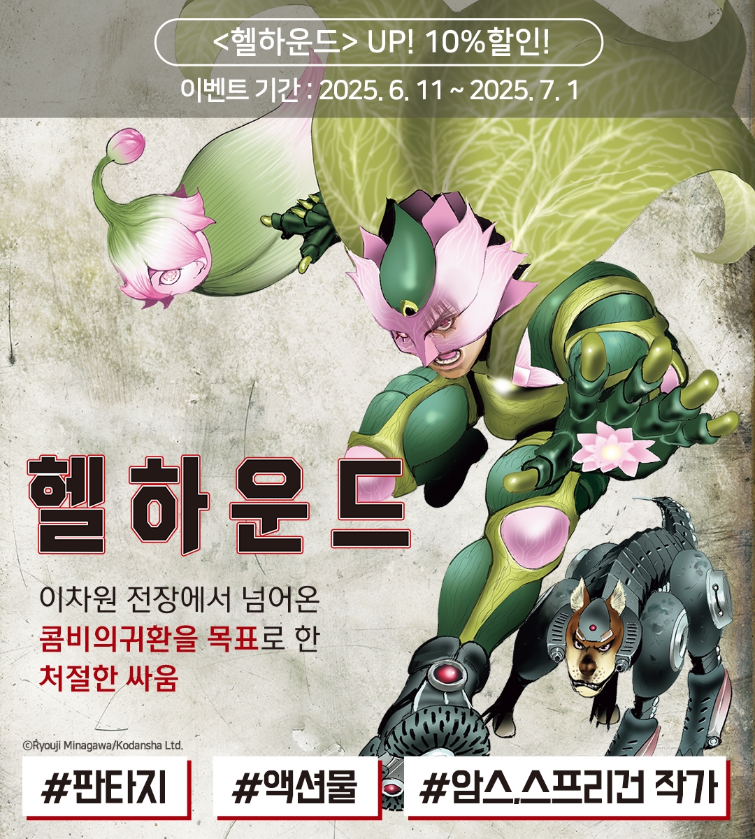 메인 이미지