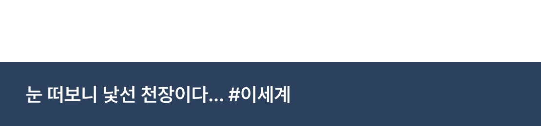 메인 이미지
