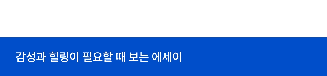 메인 이미지