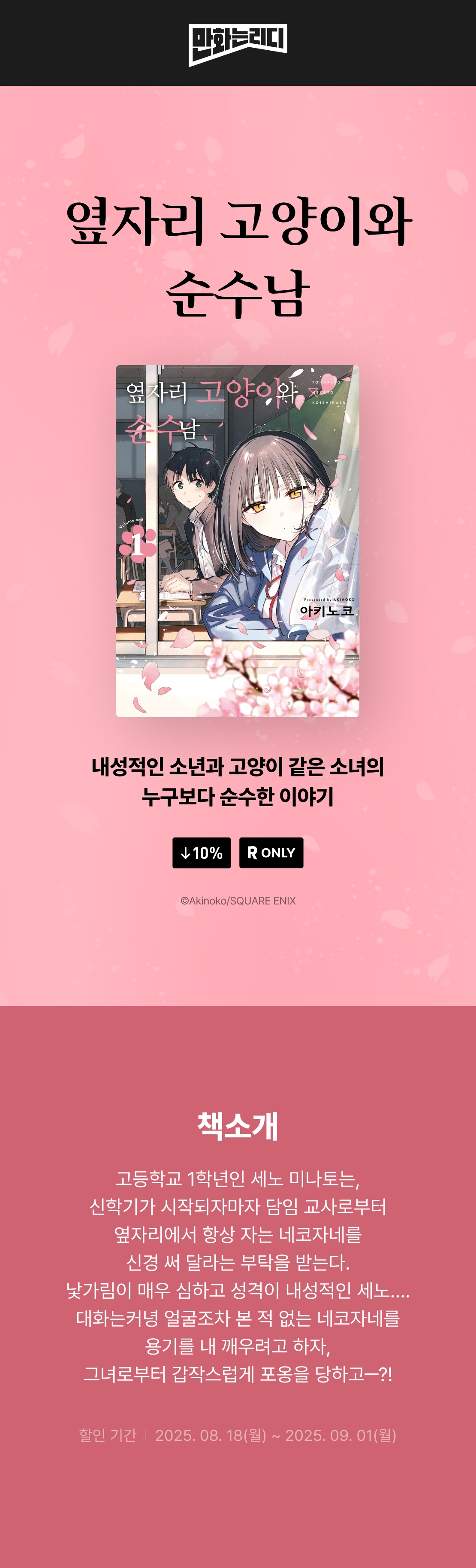 메인 이미지