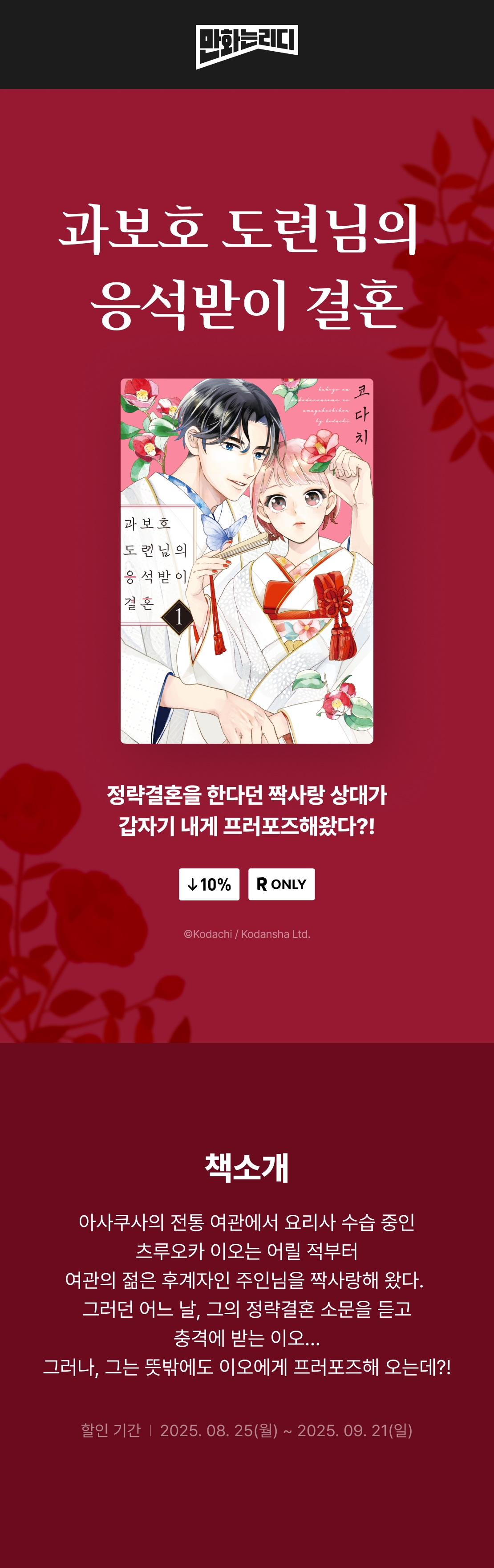 메인 이미지