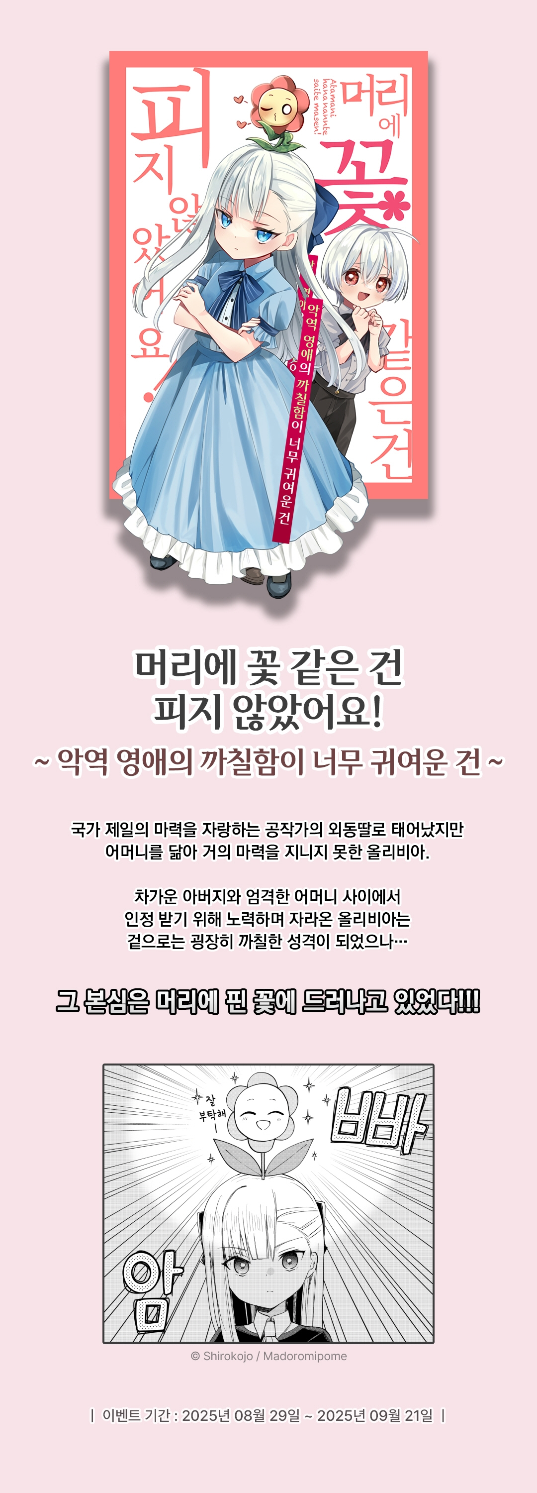 메인 이미지