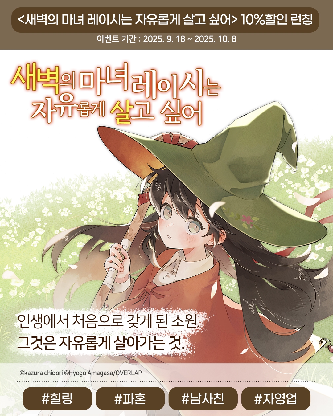 메인 이미지