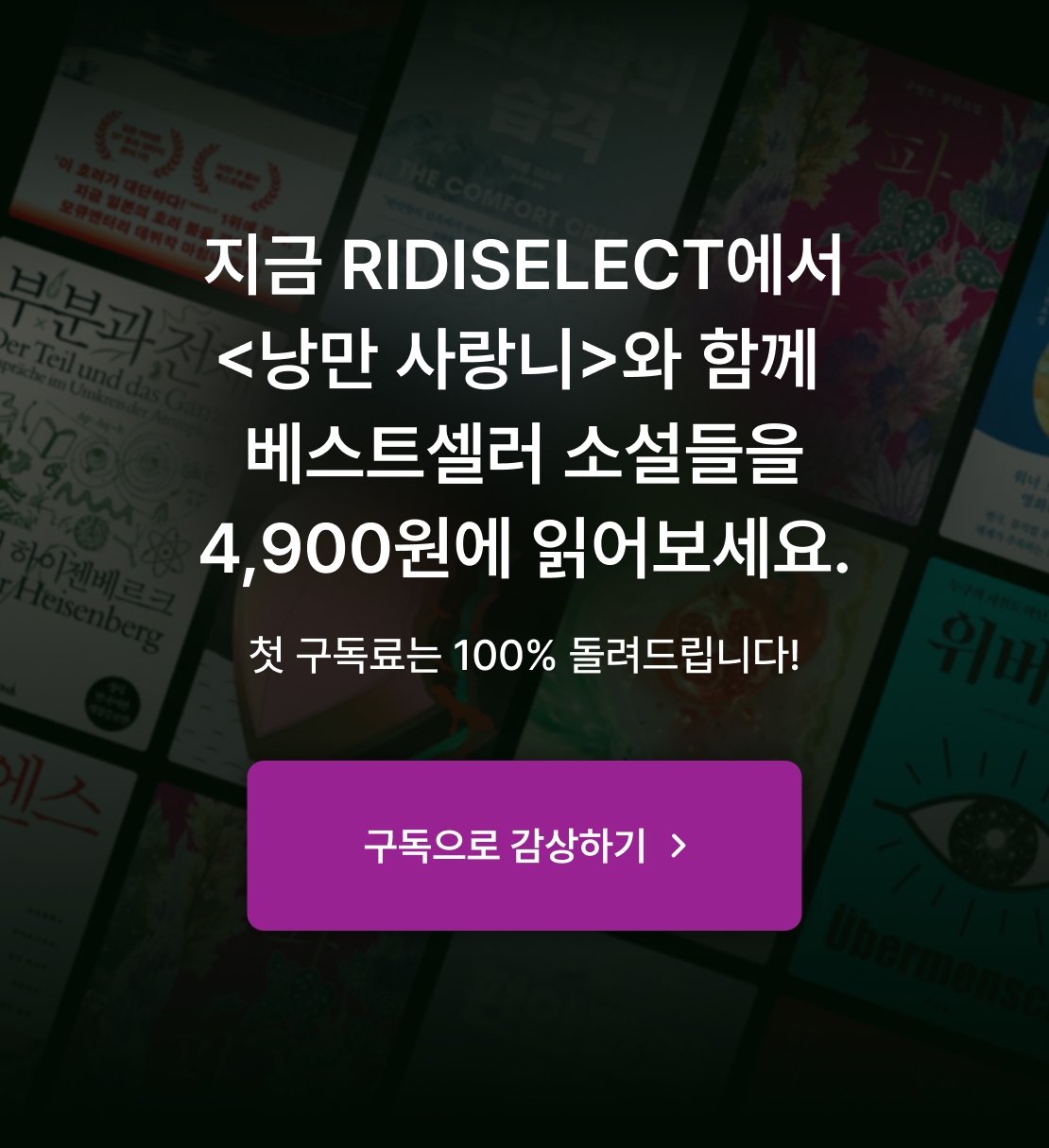 메인 이미지