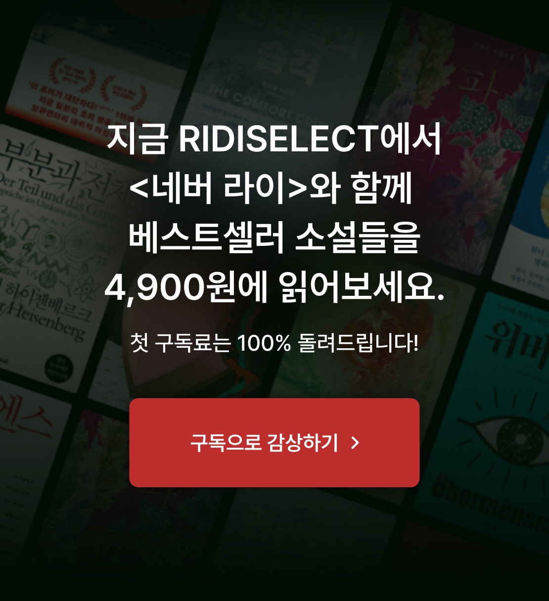 메인 이미지
