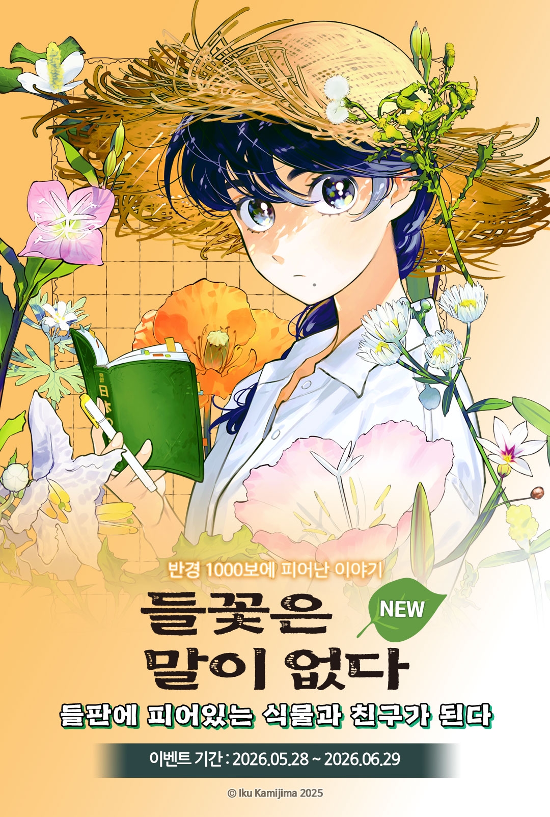 메인 이미지