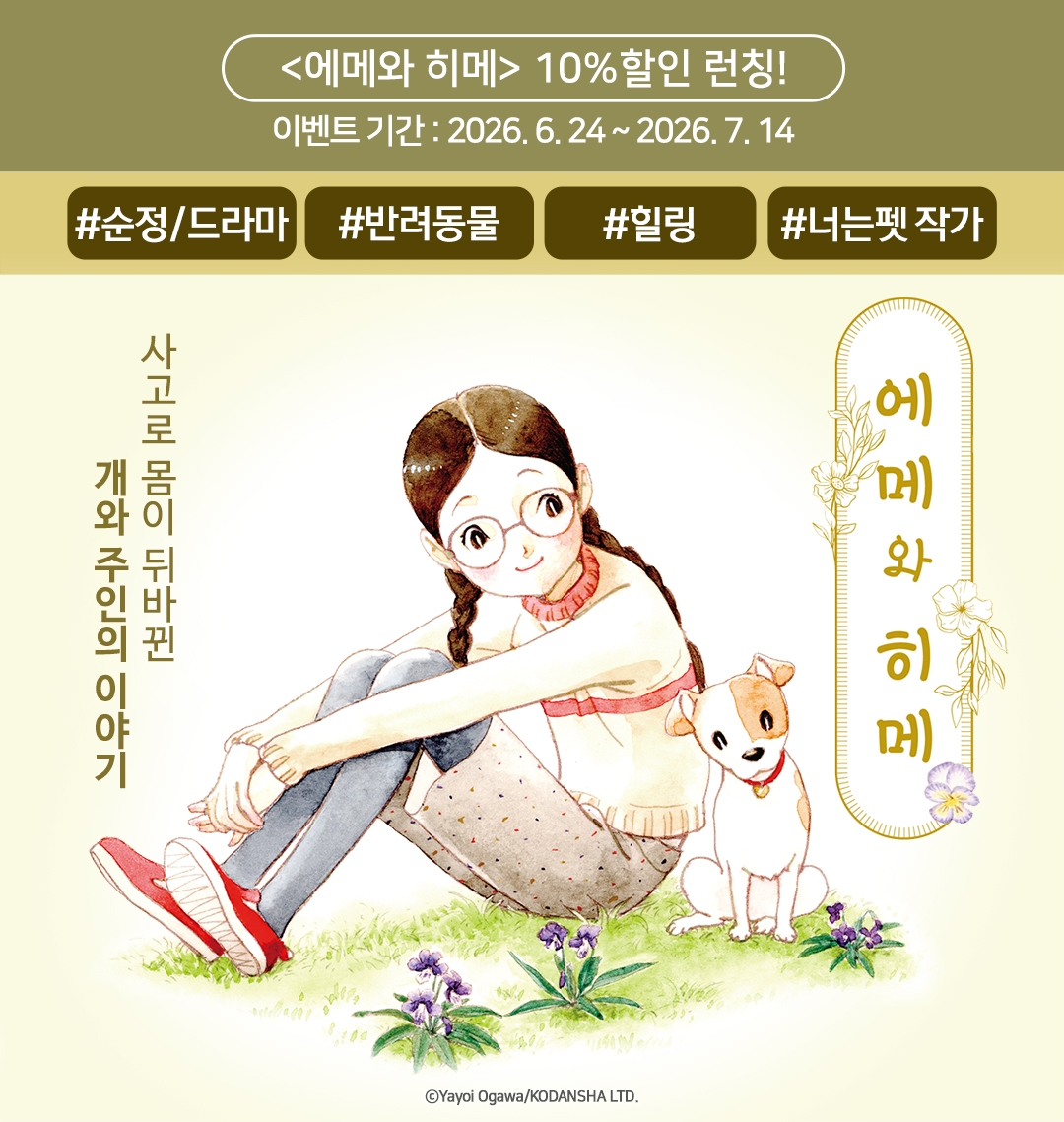 메인 이미지