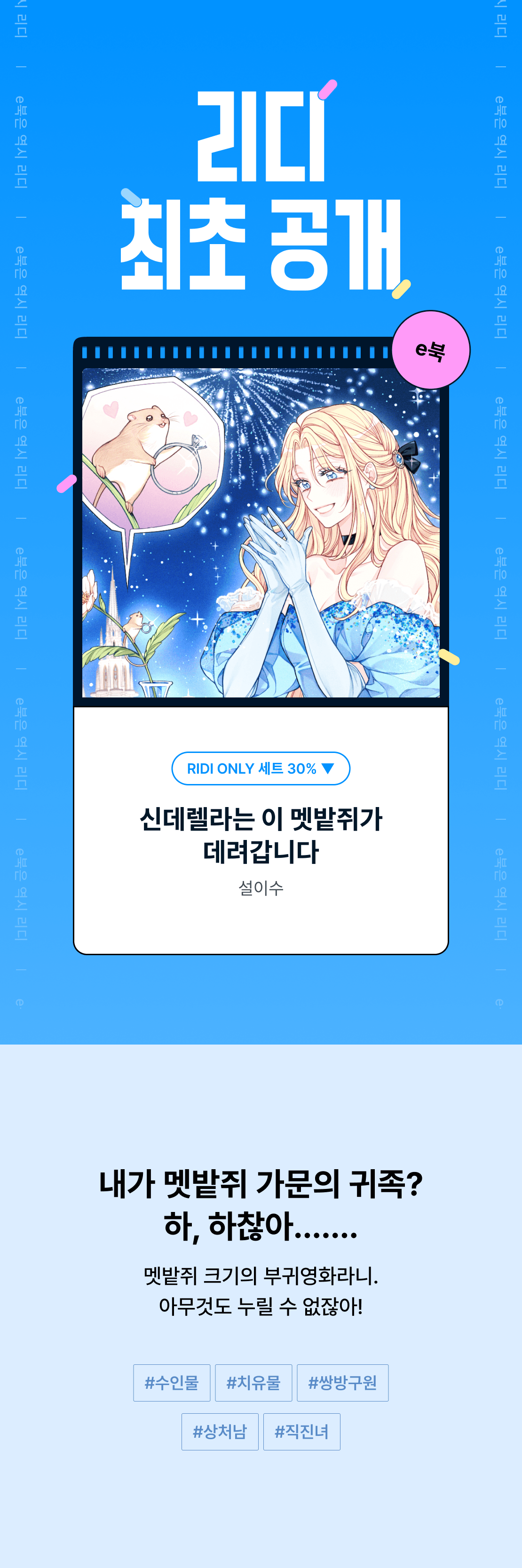 메인 이미지