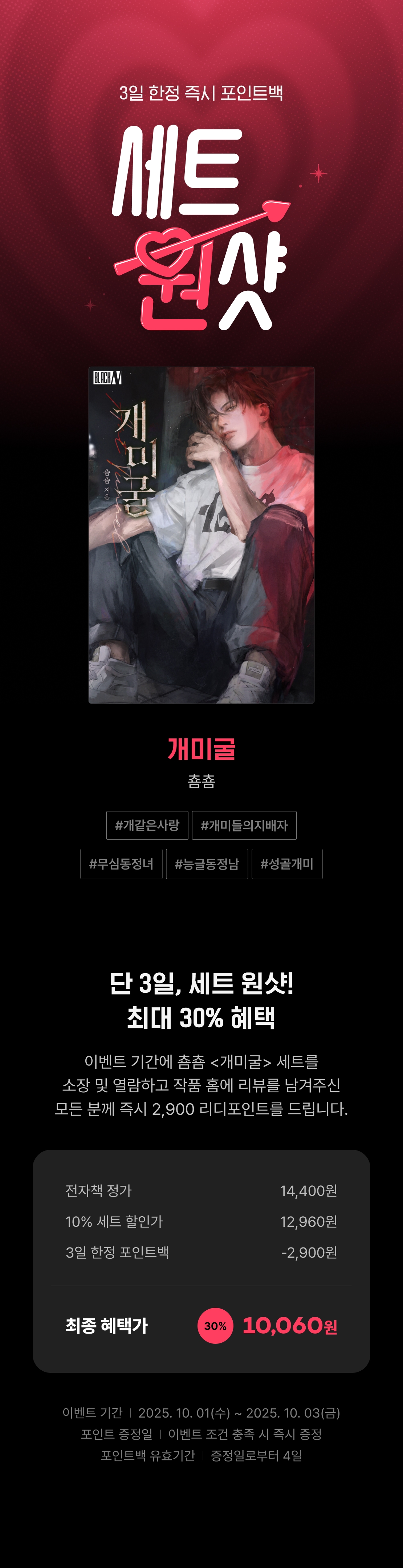 메인 이미지